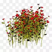 花盆设计花盆Цветы-太极拳-空若网 花盆设计花盆Цветы-太极拳-空若网