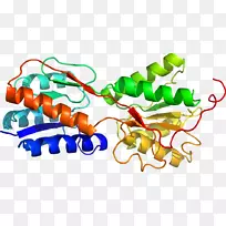 �߲��л���ϵ�м�����-�߲�-������