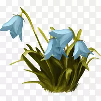 ����ֲ��-������