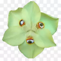 博客眼-自然颜料-空若网 博客眼-自然颜料-空若网