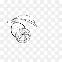 线条艺术自行车车轮草图设计-空若网 线条艺术自行车车轮草图设计-空若网