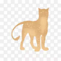 胡须狗狮子猫鼻子狗-空若网 胡须狗狮子猫鼻子狗-空若网