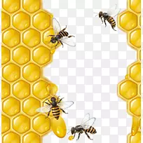 蜜蜂蜂巢-蜂蜜-空若网 蜜蜂蜂巢-蜂蜜-空若网