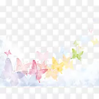 ����ˮ�ʻ�����-����-������