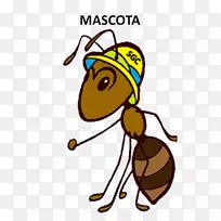 ��������Ⱥ�������������-������