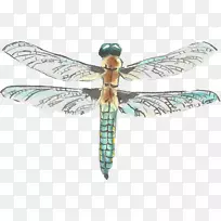 Ë®²Ê»-Ë®²Ê»òßòÑ-¿ÕÈôÍø Ë®²Ê»-Ë®²Ê»òßòÑ-¿ÕÈôÍø