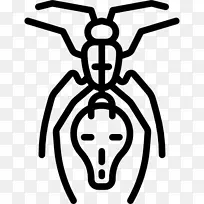 蚂蚁昆虫剪贴画-昆虫-空若网 蚂蚁昆虫剪贴画-昆虫-空若网