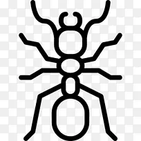 红火蚁昆虫剪贴画-昆虫-空若网 红火蚁昆虫剪贴画-昆虫-空若网