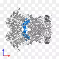 钴蓝首饰.珠宝首饰字体.珠宝-空若网 钴蓝首饰.珠宝首饰字体.珠宝-空若网