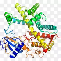 人体首饰有机体线剪贴画线-空若网 人体首饰有机体线剪贴画线-空若网