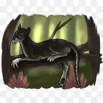 犬科犬鼻子犬-空若网 犬科犬鼻子犬-空若网