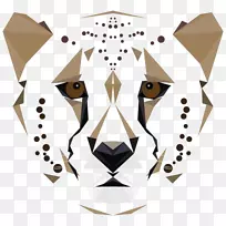 ���������Ȯ���Ա����޻���ͼ-��-������