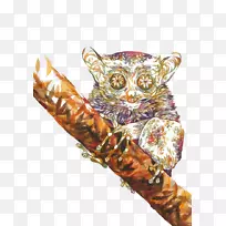 考拉水彩画插图-考拉-空若网 考拉水彩画插图-考拉-空若网