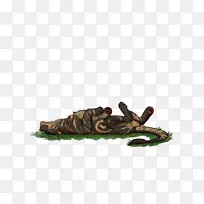 爬行动物-大量汗水-空若网 爬行动物-大量汗水-空若网