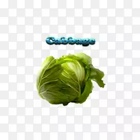 Ý«ÜÄ¡¢¾íÐIJˡ¢Ê®×Ö»¨¿ÆÊ߲ˡ¢´º²Ë-¾íÐIJË-¿ÕÈôÍø Ý«ÜÄ¡¢¾íÐIJˡ¢Ê®×Ö»¨¿ÆÊ߲ˡ¢´º²Ë-¾íÐIJË-¿ÕÈôÍø