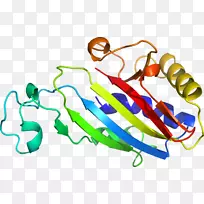 人体首饰有机体线剪贴画线-空若网 人体首饰有机体线剪贴画线-空若网