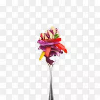 希腊色拉有机食品沙拉-空若网 希腊色拉有机食品沙拉-空若网