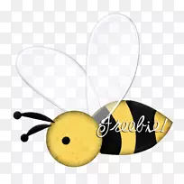 蜂蝶昆虫-空若网 蜂蝶昆虫-空若网