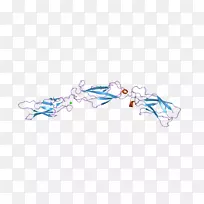 �����鱦�������-������