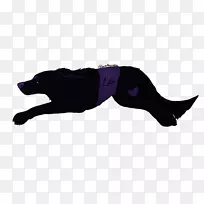 狗鼻子黑狗-空若网 狗鼻子黑狗-空若网