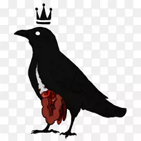 动物喙-内脏-空若网 动物喙-内脏-空若网