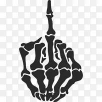 中指人骨头骨-颅骨-空若网 中指人骨头骨-颅骨-空若网