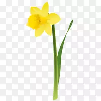 ˮ�ɻ���Ƽ�����ˮ�ɻ�PNGͼƬ-������