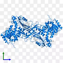 线点生物剪贴画线-空若网 线点生物剪贴画线-空若网