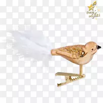 ��ë����Ⱥ���ë-������