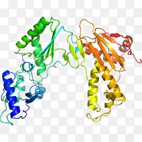 人体首饰有机体线剪贴画线-空若网 人体首饰有机体线剪贴画线-空若网