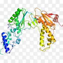 人体珠宝有机体剪贴画.珠宝-空若网 人体珠宝有机体剪贴画.珠宝-空若网