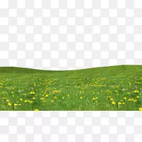 花园-草下载png-空若网 花园-草下载png-空若网