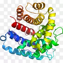 人体首饰有机体线剪贴画线-空若网 人体首饰有机体线剪贴画线-空若网