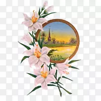 复活节野花花瓣-复活节-空若网 复活节野花花瓣-复活节-空若网