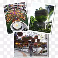 ƽ����ƺ���.���-������