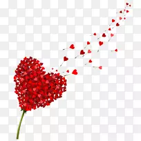 ����-���鱳��-������