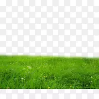 ��ƺͼ��-�ݸ�Ʒ��PNG-������