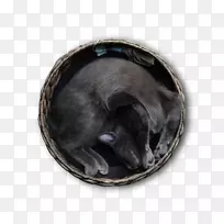 �ڱǿ�è-������