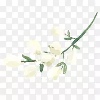 ����֦����ֲ�ﾥ-������