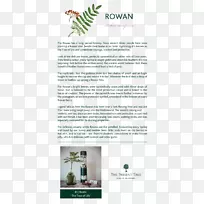 ���ֲ�-��-������