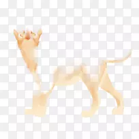 ����èȮ��Ȯ����è-������