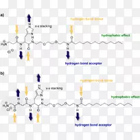 亲水性疏水效应分子范德华力-空若网 亲水性疏水效应分子范德华力-空若网