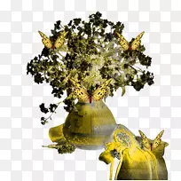 ����-��-������