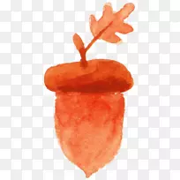 橡子水彩画-空若网 橡子水彩画-空若网