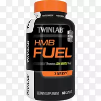 ��ʳ�����Twinlab���ὡ�������ZMA-����-������