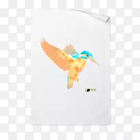 ֽ��ˮ��-������