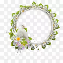 Ïà¿ò£¬Ô²½Ç»éÉ´ÉãÓ°-¿ÕÈôÍø Ïà¿ò£¬Ô²½Ç»éÉ´ÉãÓ°-¿ÕÈôÍø