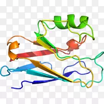 线点剪贴画-线-空若网 线点剪贴画-线-空若网