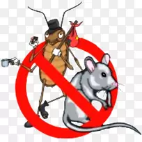 ó¯òëÀ¥³æÎ÷°àÑÀÄö³Ý¶¯ÎïLa se ora ucaracha-ó¯òë-¿ÕÈôÍø ó¯òëÀ¥³æÎ÷°àÑÀÄö³Ý¶¯ÎïLa se ora ucaracha-ó¯òë-¿ÕÈôÍø