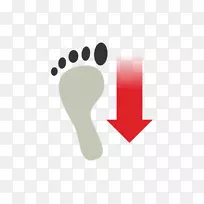 ��־Ʒ����ָ�������-������